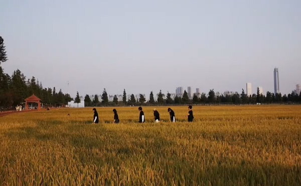 桂花飘香，橘子甘甜，稻谷金黄，鸟鸣悠悠，漫步东山秋景图，与秋天来场美丽的约会